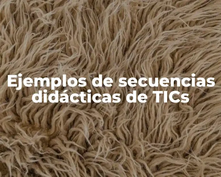 Ejemplos de secuencias didácticas de TICs