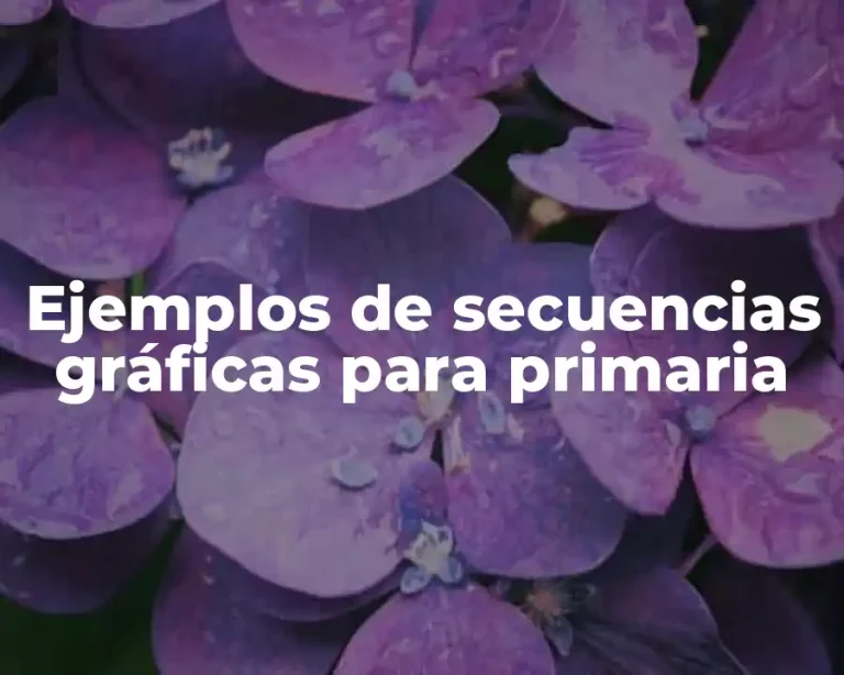 Ejemplos de secuencias gráficas para primaria