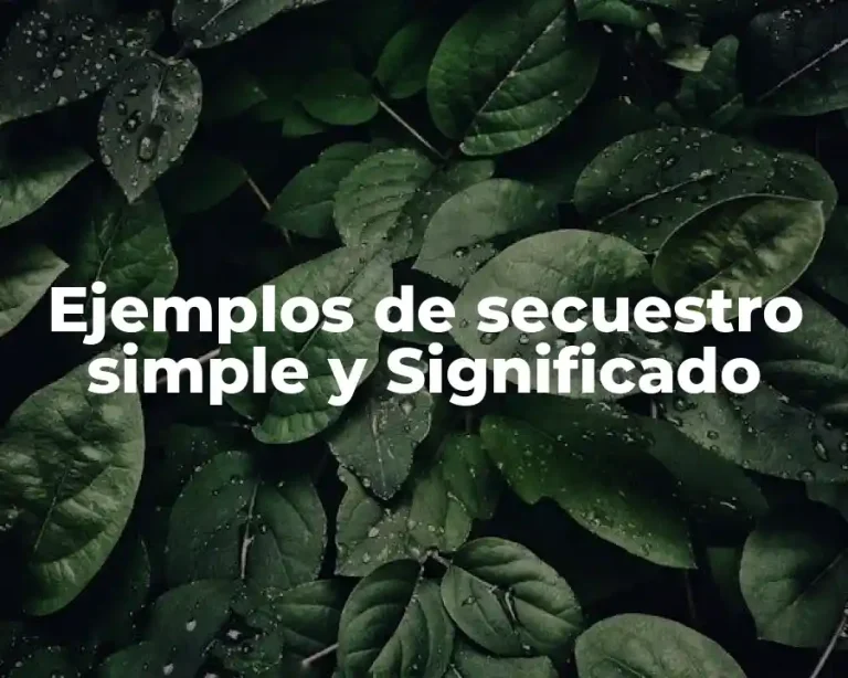 Ejemplos de secuestro simple y Significado