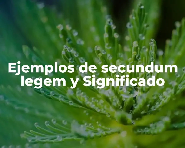Ejemplos de secundum legem y Significado