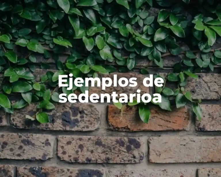 Ejemplos de sedentarioa