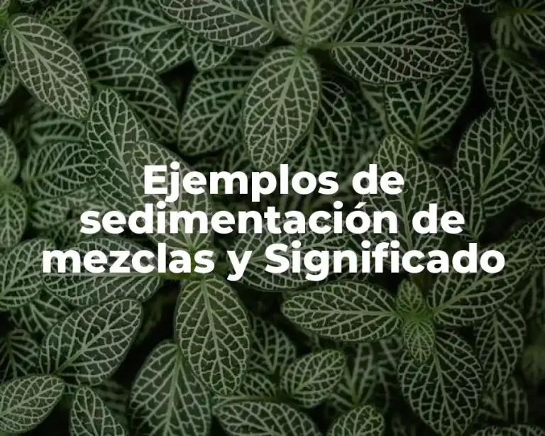 Ejemplos de sedimentación de mezclas y Significado