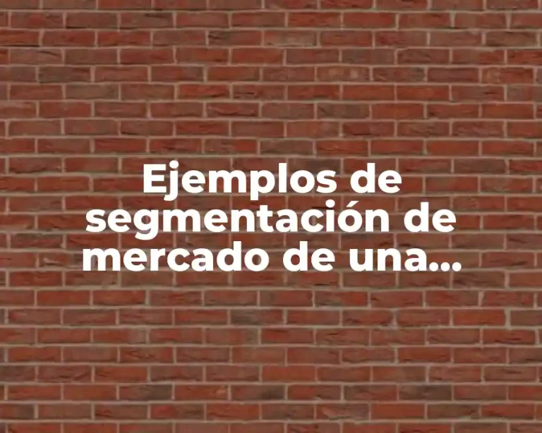 Ejemplos de segmentación de mercado de una empresa de ropa