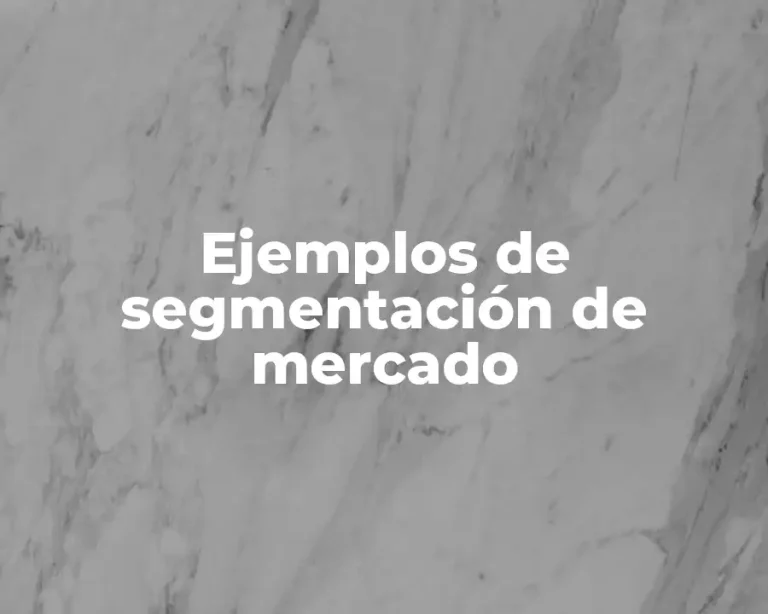 Ejemplos de segmentación de mercado