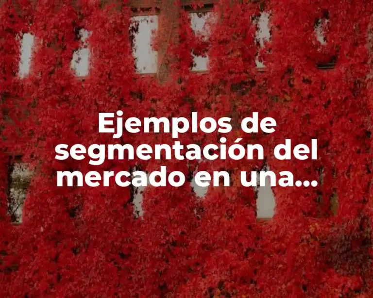 Ejemplos de segmentación del mercado en una empresa