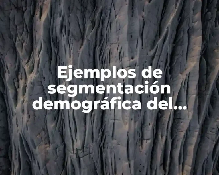 Ejemplos de segmentación demográfica del mercado y Significado