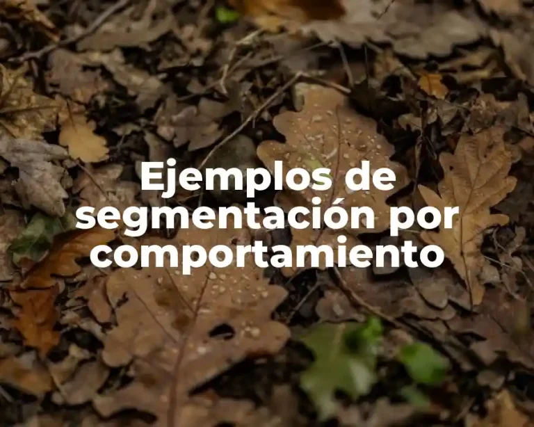 Ejemplos de segmentación por comportamiento