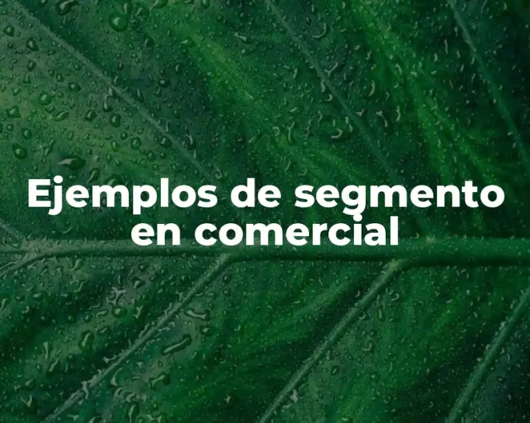 Ejemplos de segmento en comercial