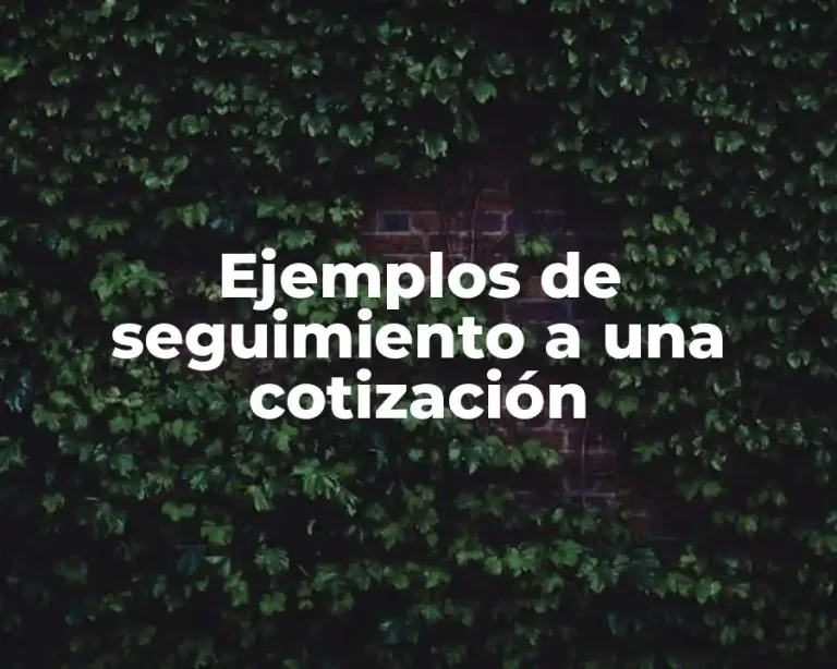 Ejemplos de seguimiento a una cotización
