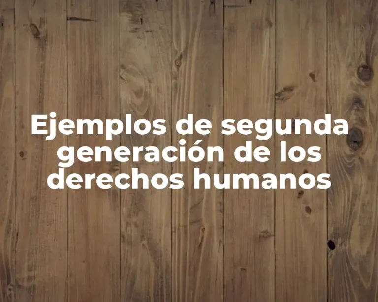 Ejemplos de segunda generación de los derechos humanos