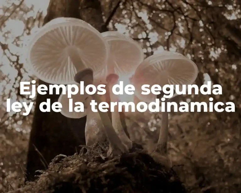 Ejemplos de segunda ley de la termodinamica