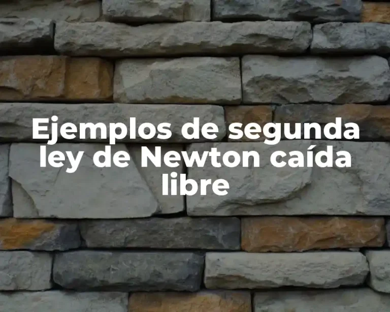 Ejemplos de segunda ley de Newton caída libre