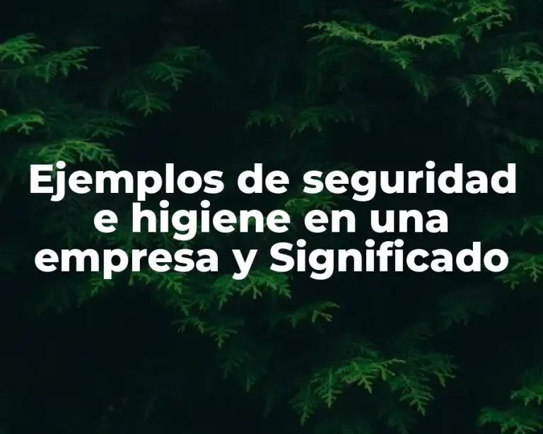 Ejemplos de seguridad e higiene en una empresa y Significado