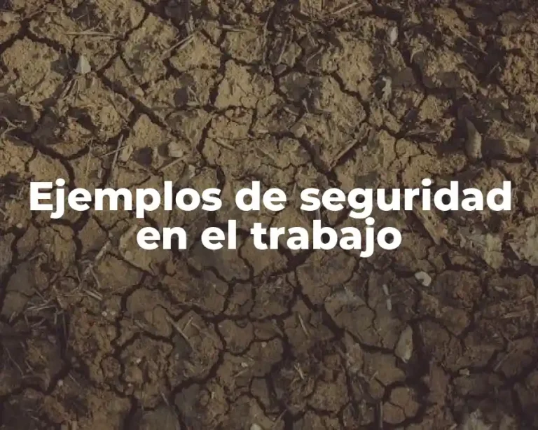 Ejemplos de seguridad en el trabajo