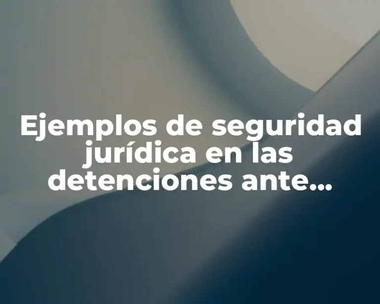 Ejemplos de seguridad jurídica en las detenciones ante autoridad judicial