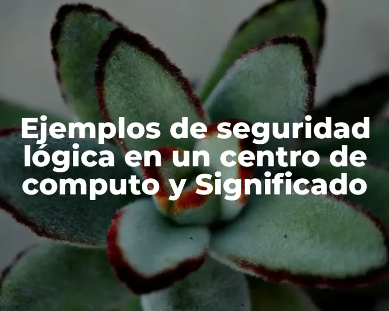 Ejemplos de seguridad lógica en un centro de computo y Significado