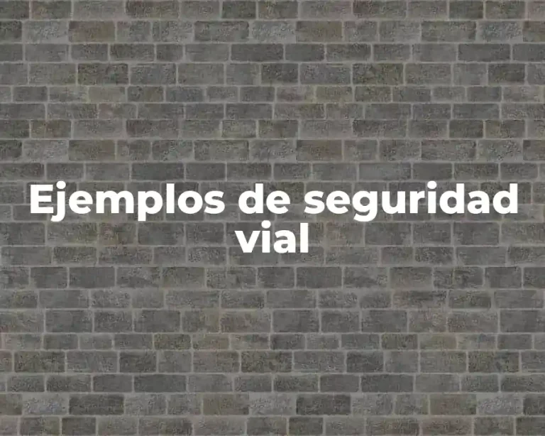 Ejemplos de seguridad vial
