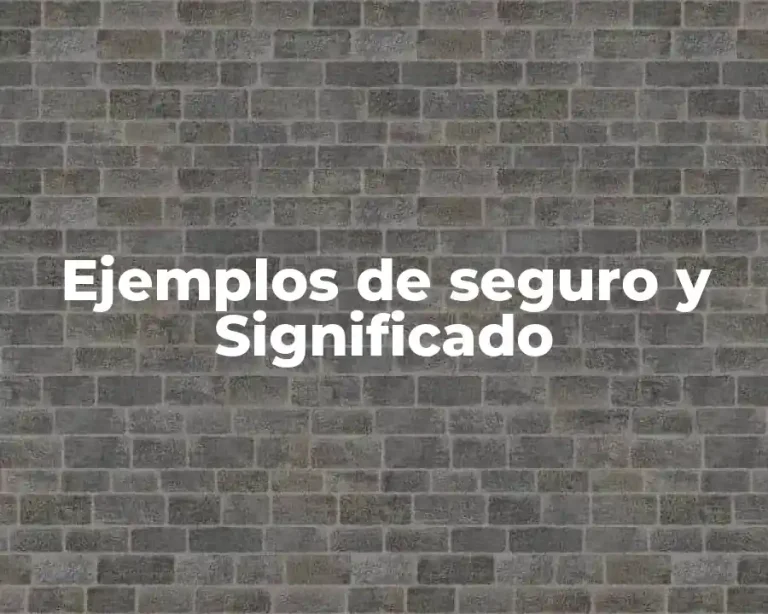Ejemplos de seguro y Significado