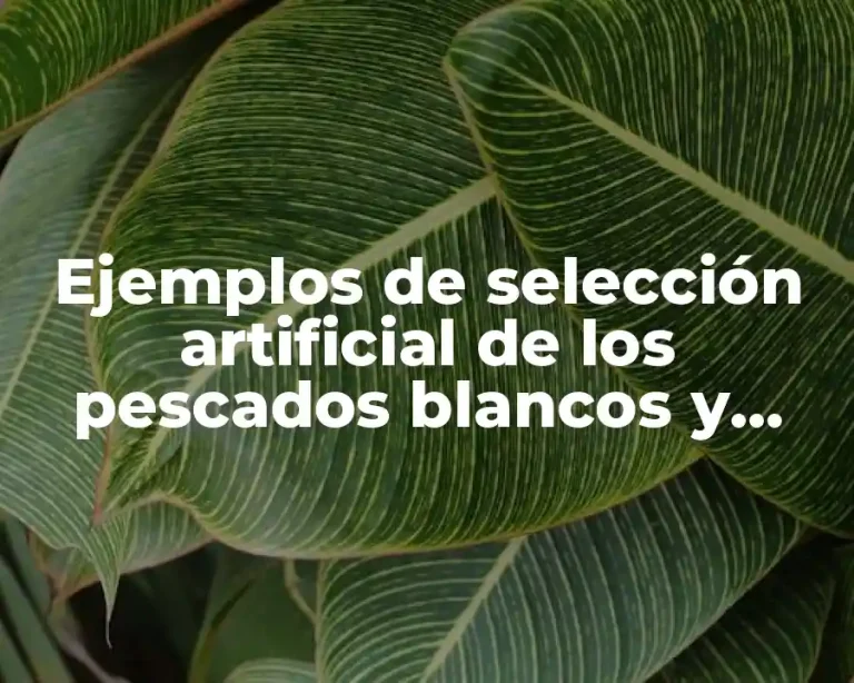 Ejemplos de selección artificial de los pescados blancos y azules