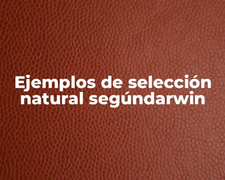 Ejemplos de selección natural segúndarwin
