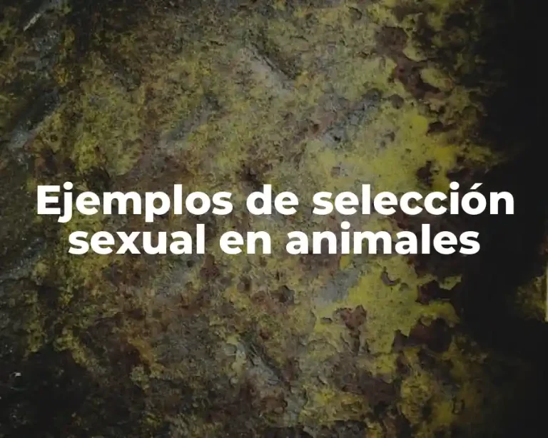 Ejemplos de selección sexual en animales