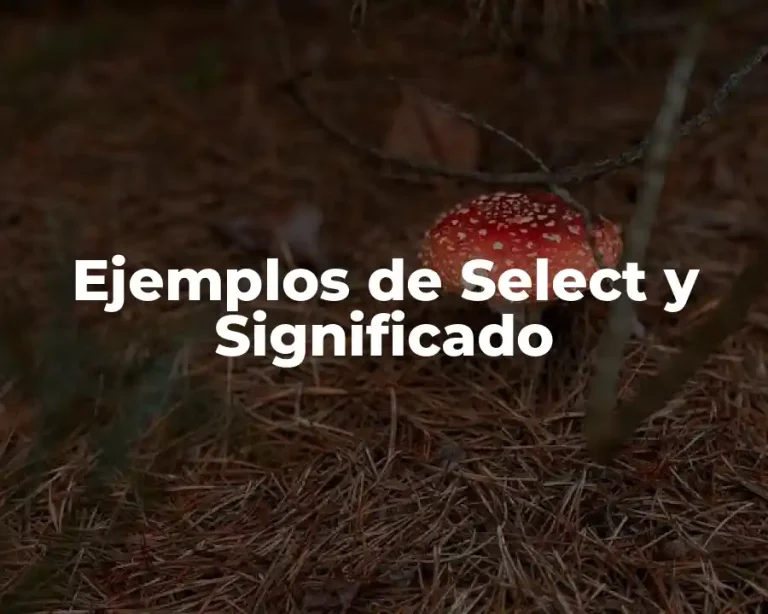 Ejemplos de Select y Significado