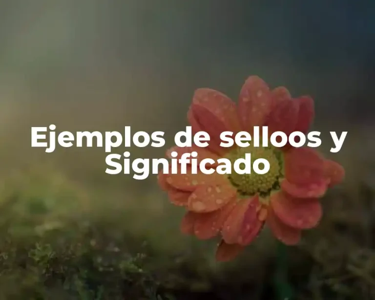 Ejemplos de selloos y Significado
