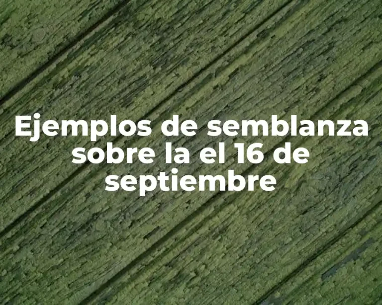 Ejemplos de semblanza sobre la el 16 de septiembre