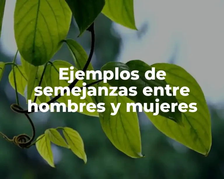 Ejemplos de semejanzas entre hombres y mujeres