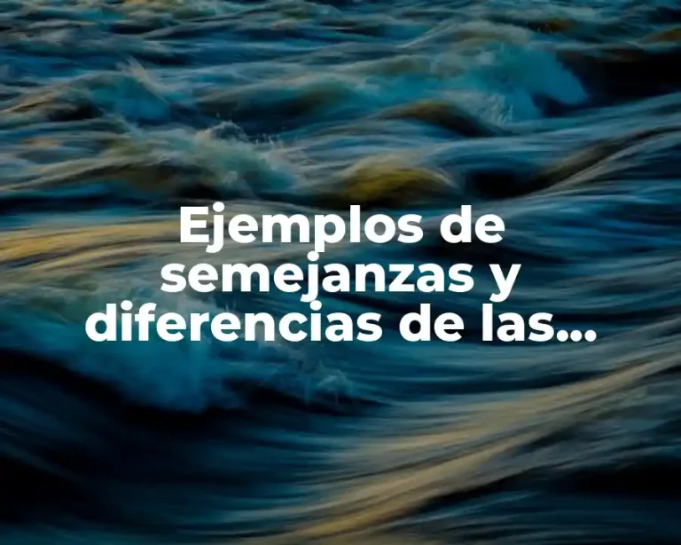 Ejemplos de semejanzas y diferencias de las personas