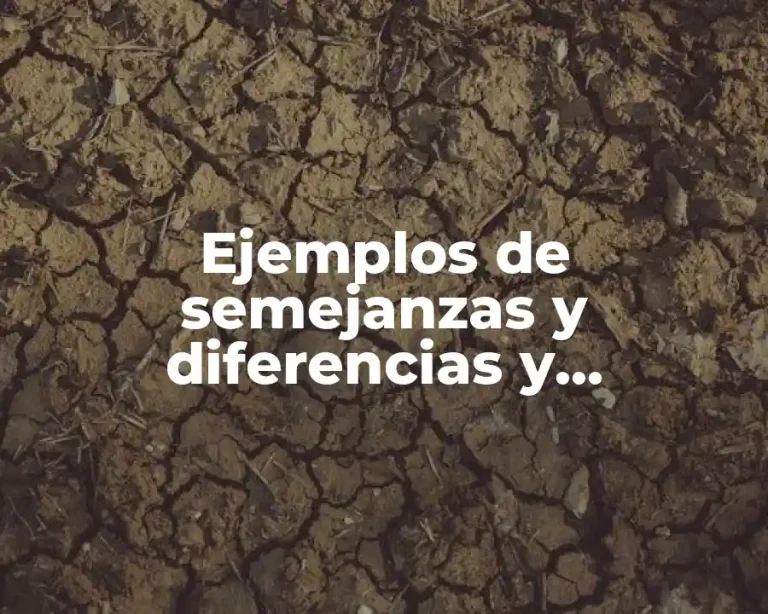 Ejemplos de semejanzas y diferencias y Significado