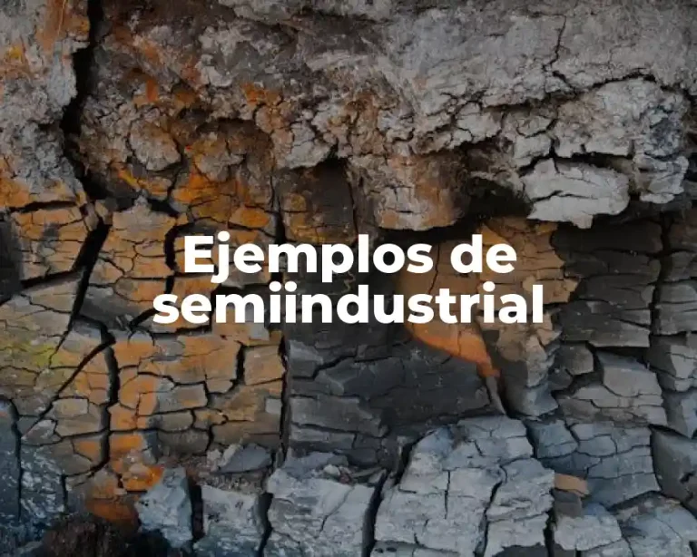 Ejemplos de semiindustrial