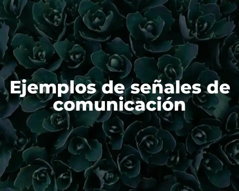 Ejemplos de señales de comunicación