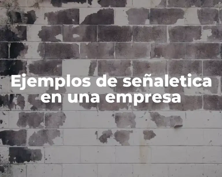 Ejemplos de señaletica en una empresa