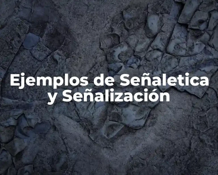 Ejemplos de Señaletica y Señalización