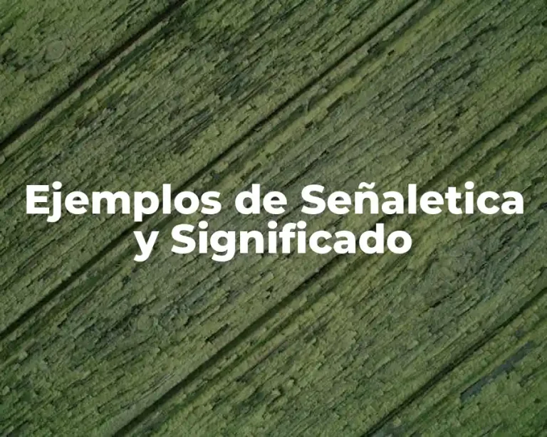 Ejemplos de Señaletica y Significado