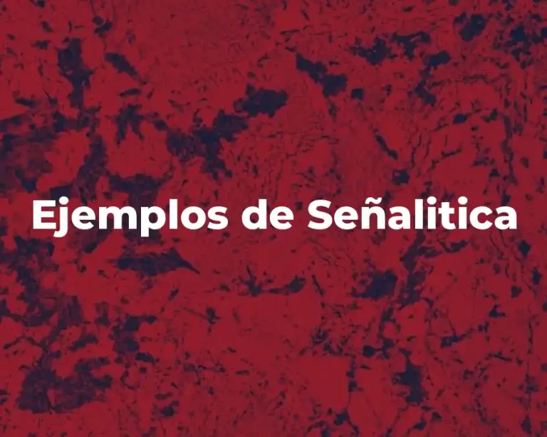 Ejemplos de Señalitica