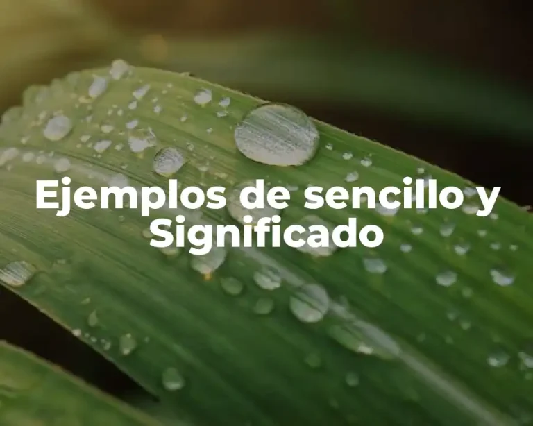 Ejemplos de sencillo y Significado