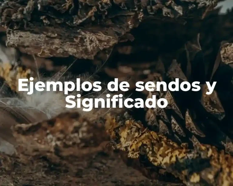 Ejemplos de sendos y Significado
