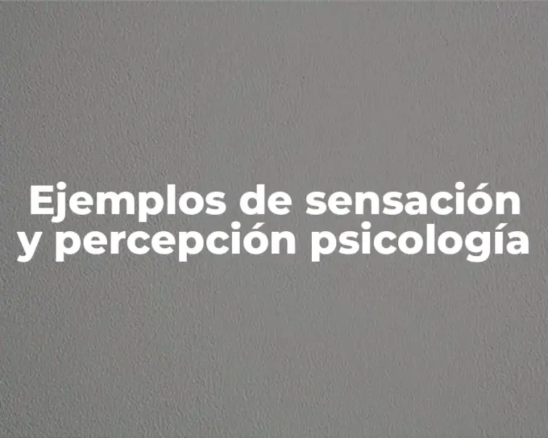 Ejemplos de sensación y percepción psicología