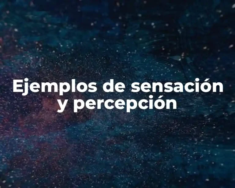 Ejemplos de sensación y percepción