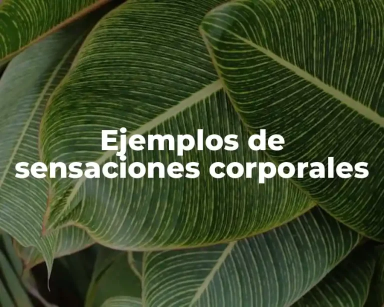 Ejemplos de sensaciones corporales