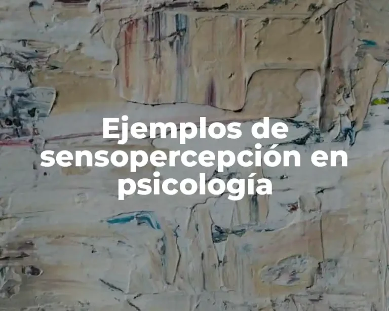 Ejemplos de sensopercepción en psicología