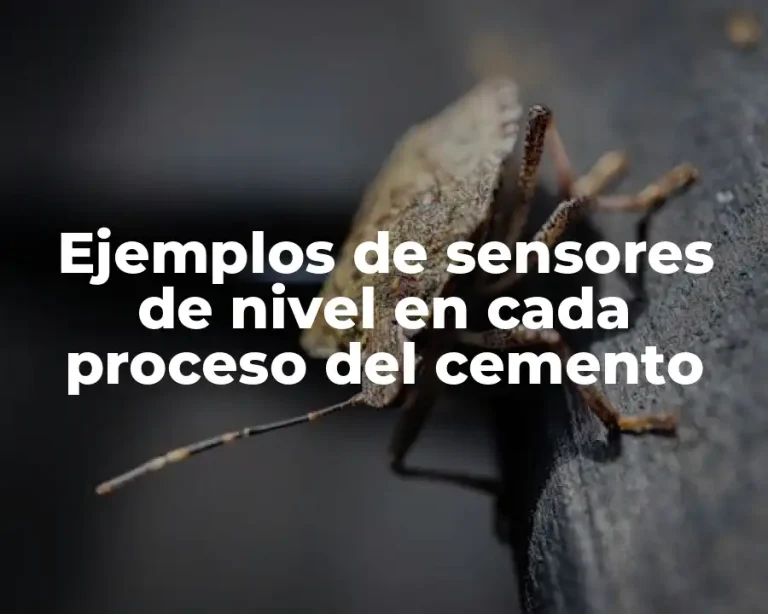 Ejemplos de sensores de nivel en cada proceso del cemento