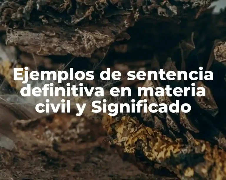 Ejemplos de sentencia definitiva en materia civil y Significado