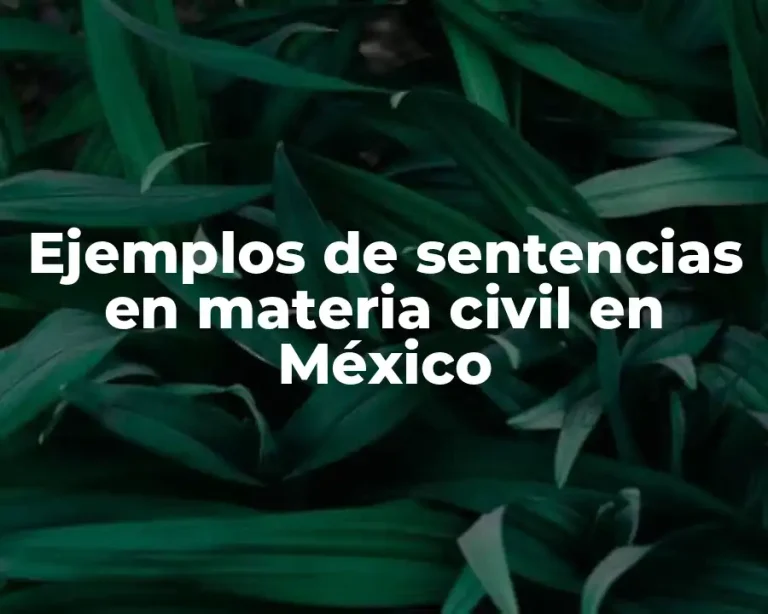 Ejemplos de sentencias en materia civil en México