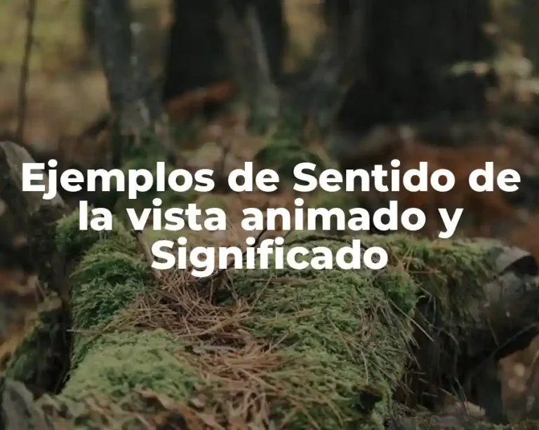 Ejemplos de Sentido de la vista animado y Significado