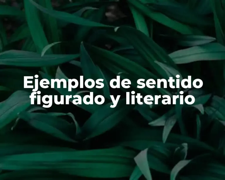 Ejemplos de sentido figurado y literario