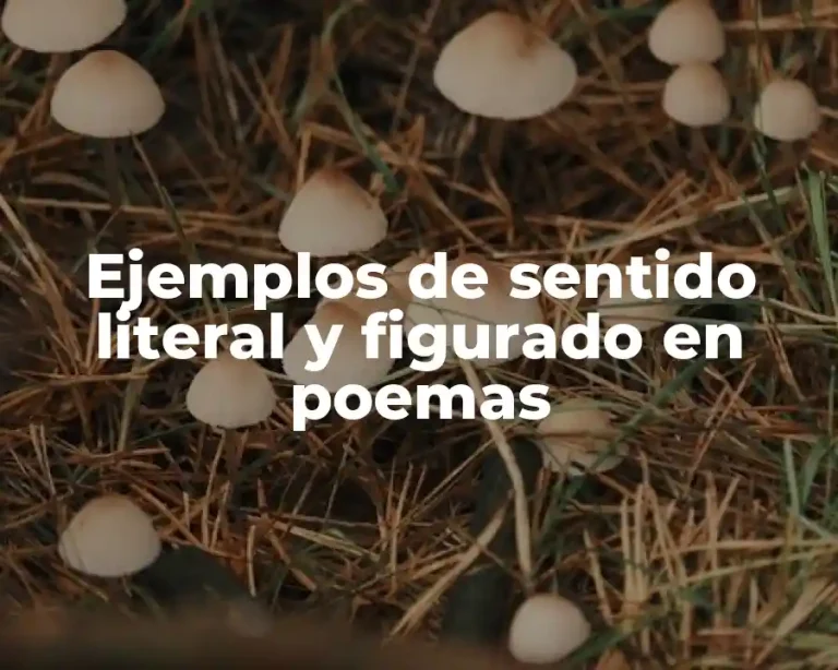 Ejemplos de sentido literal y figurado en poemas