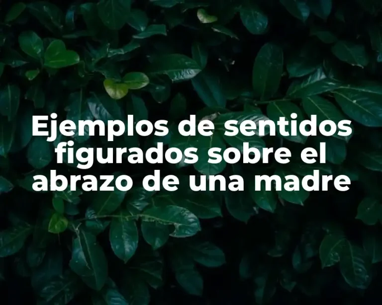 Ejemplos de sentidos figurados sobre el abrazo de una madre